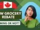 new grocery rebate canada