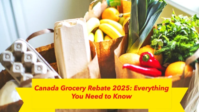 Canada Grocery Rebate 2025: Everything You Need to Know Canada Grocery Rebate 2025: Everything You Need to Know
