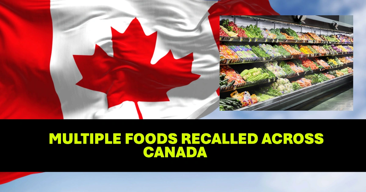 Multiple Foods Recalled Across Canada Due to Listeria, Salmonella, Insects, and Wood Contamination