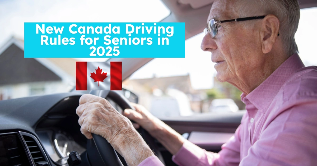 New Canada Driving Rules for Seniors in 2025