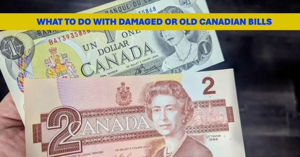 What to Do With Damaged or Old Canadian Bills