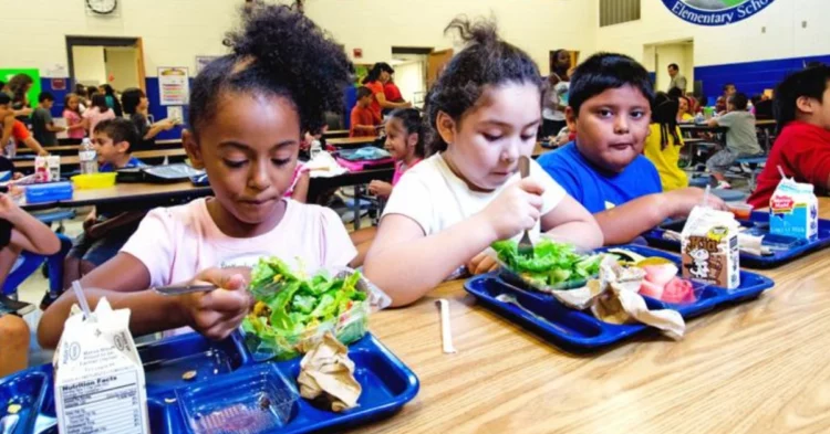 Carney Unveils Automatic Tax Filing System, Commits to Permanent School Meal Program